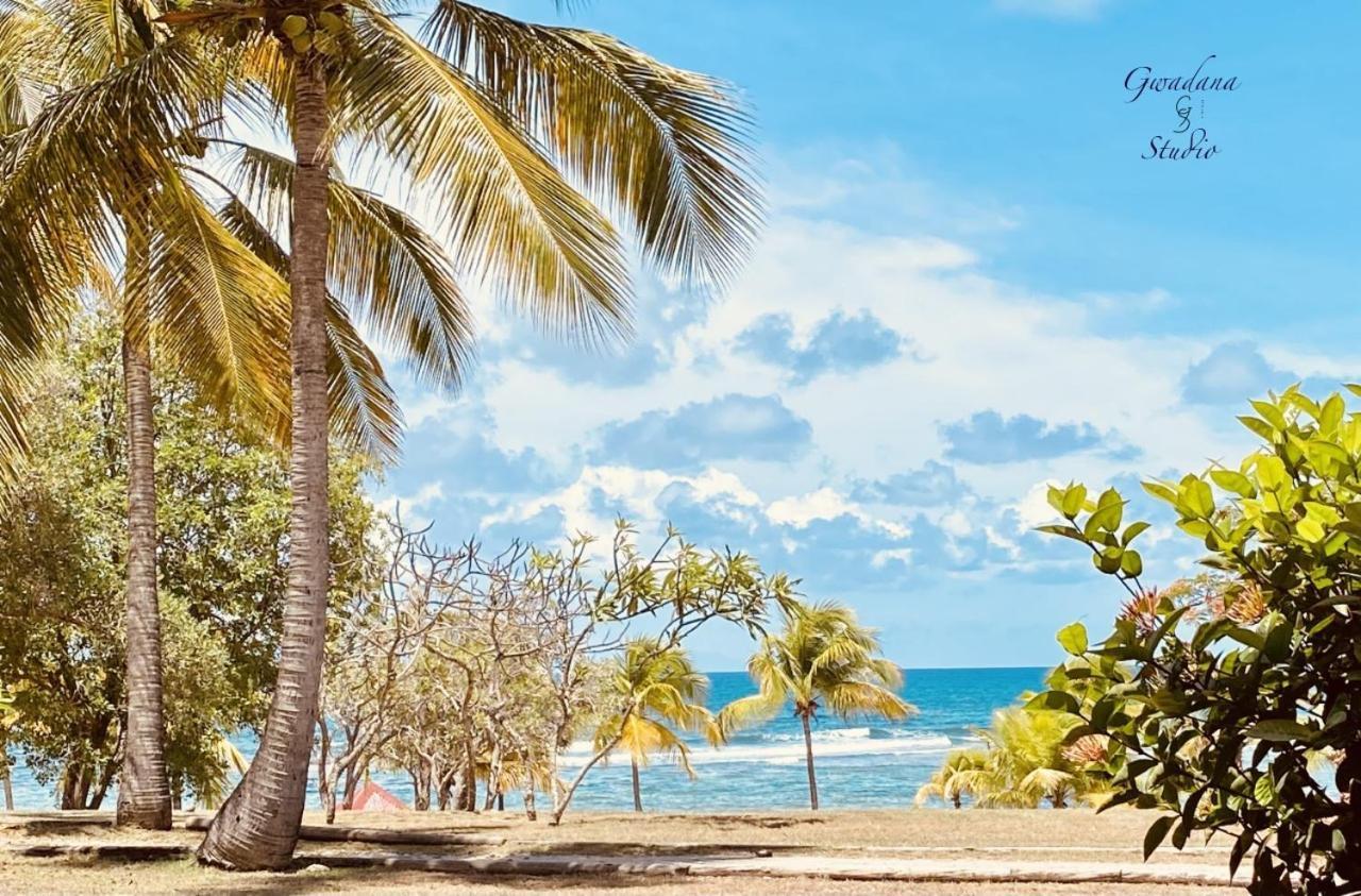 Acces Direct Plage, Vue Mer D'Exception, Les Gwada Studios, Village Vacances Sainte-Anne  Exteriér fotografie