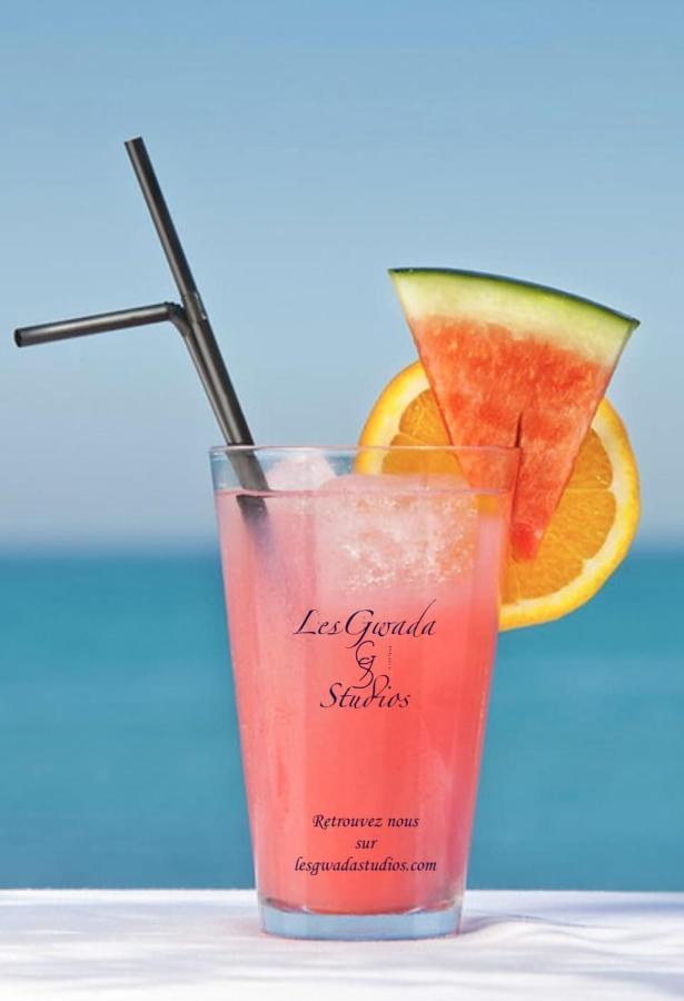 Acces Direct Plage, Vue Mer D'Exception, Les Gwada Studios, Village Vacances Sainte-Anne  Exteriér fotografie
