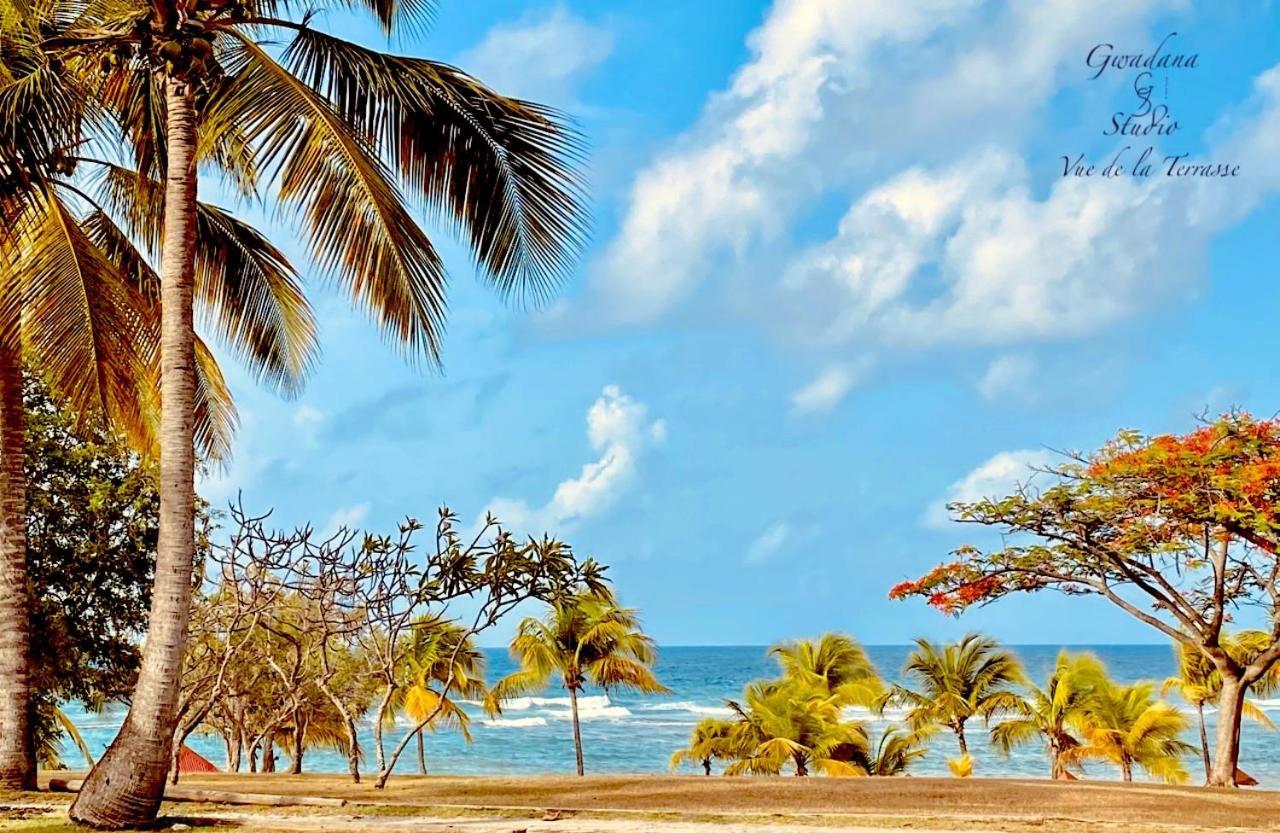Acces Direct Plage, Vue Mer D'Exception, Les Gwada Studios, Village Vacances Sainte-Anne  Exteriér fotografie