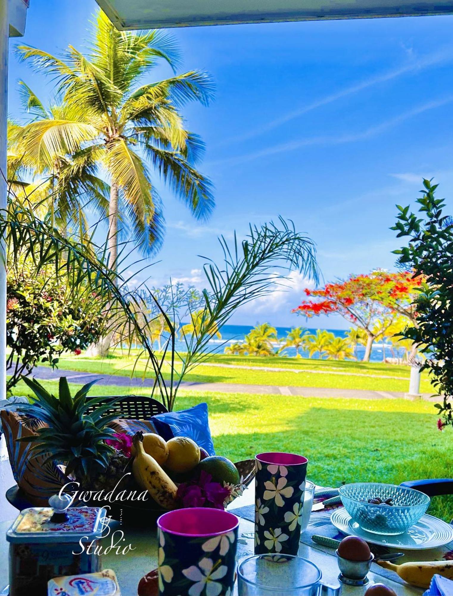 Acces Direct Plage, Vue Mer D'Exception, Les Gwada Studios, Village Vacances Sainte-Anne  Exteriér fotografie